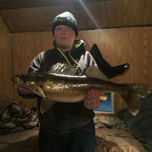 Meet your Posher, Hunter